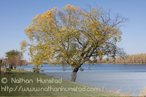 Wabasha_2008-10-25_IMG_2483